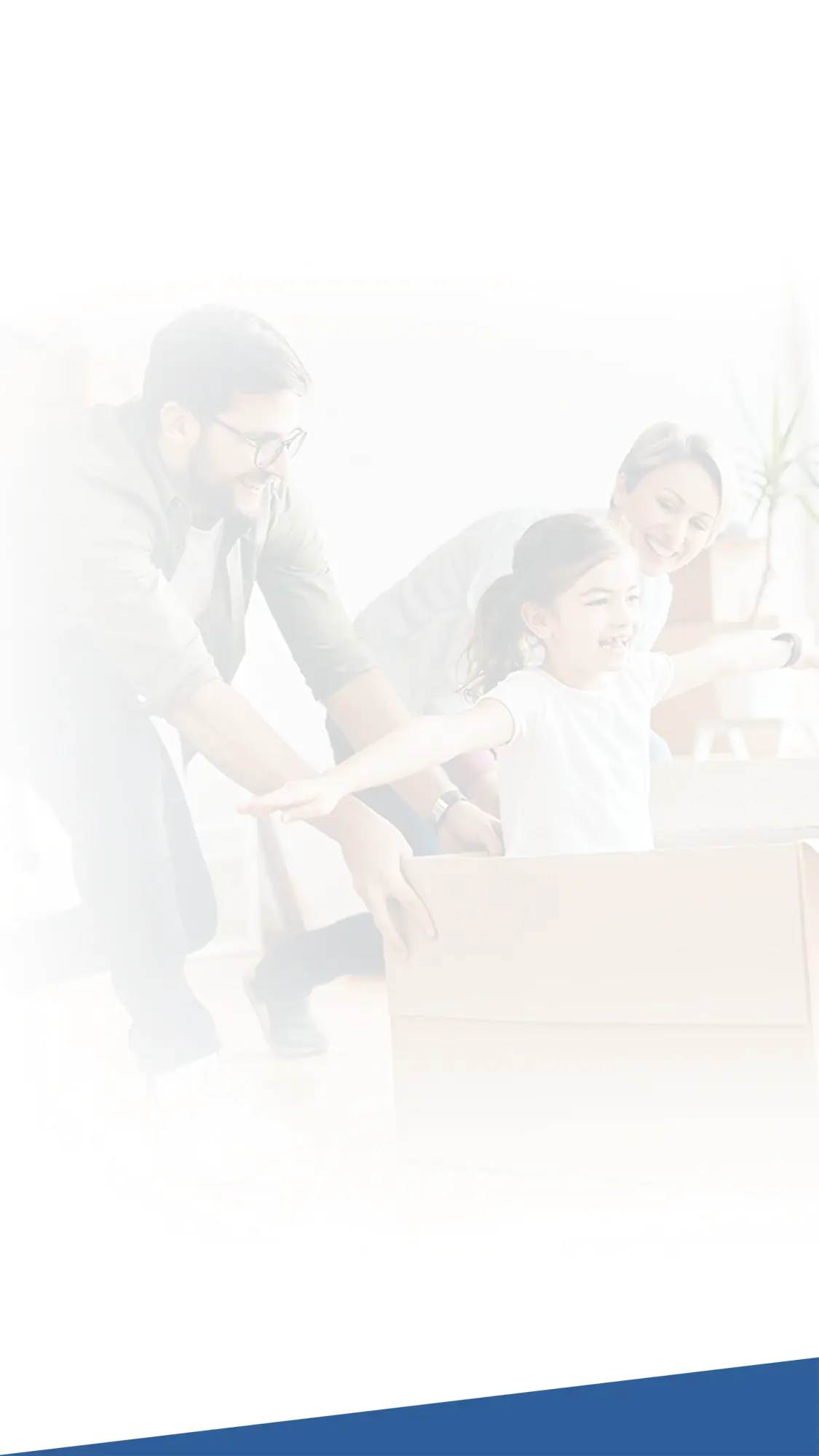 TF Mudanças e Transporte