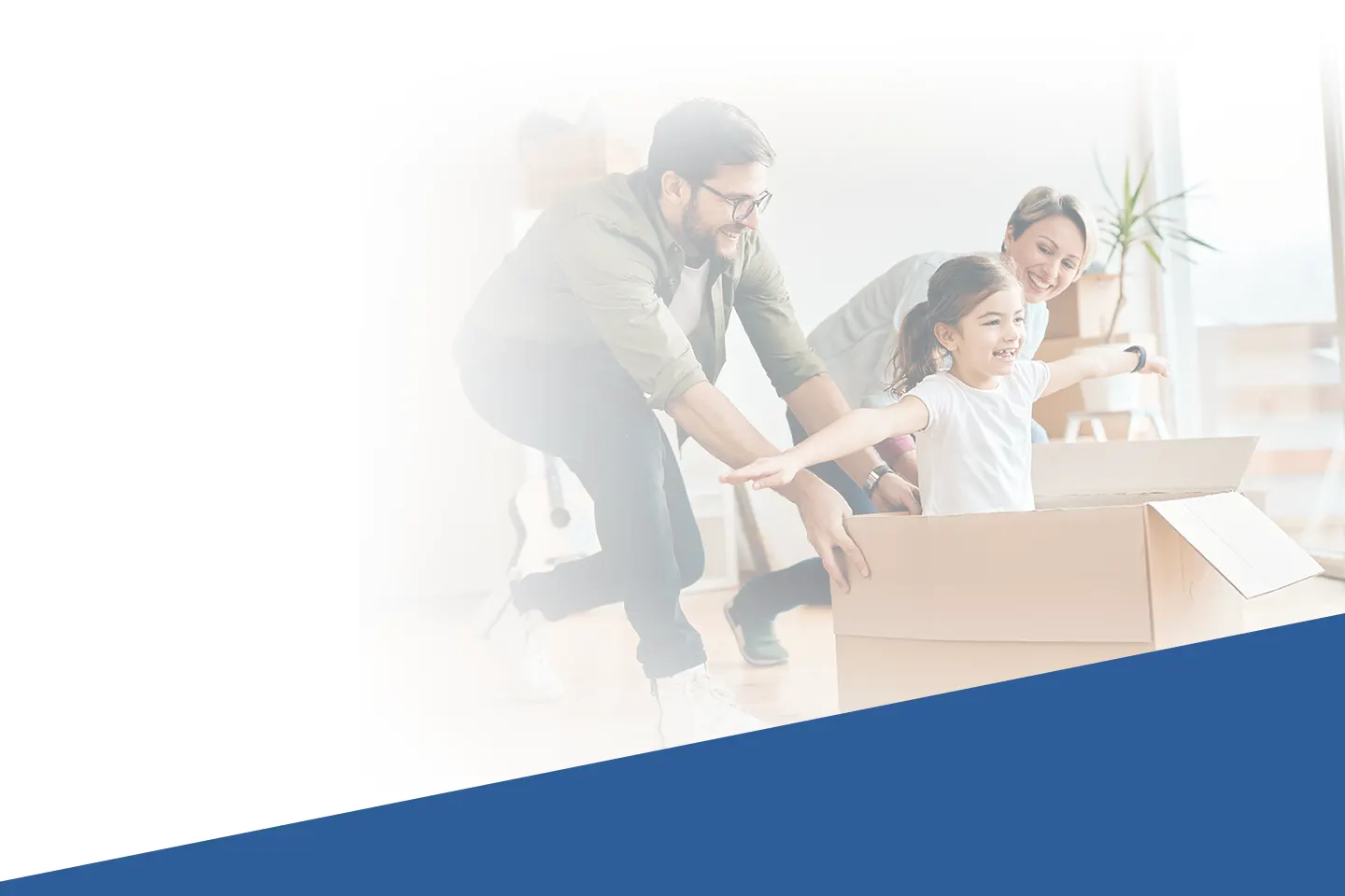 TF Mudanças e Transporte